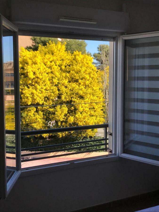 Appart' Au Port Apartment Frejus Exterior photo